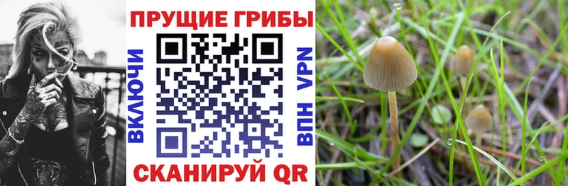 Купить закладки Верещагино Галлюциногенные грибы прущие грибы